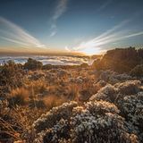 Kilimandscharo, Tansania