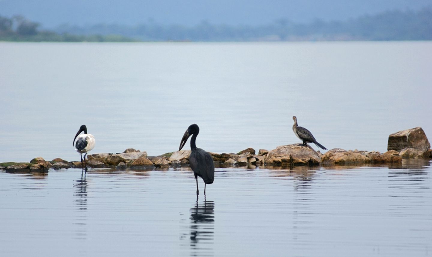 3: Victoriasee (Afrika) Victoriasee in Uganda