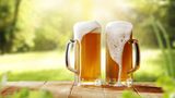 Bier