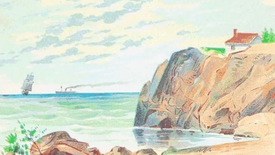 Bilderrätsel: Wie viele Tiere sind auf diesem Bild zu sehen?