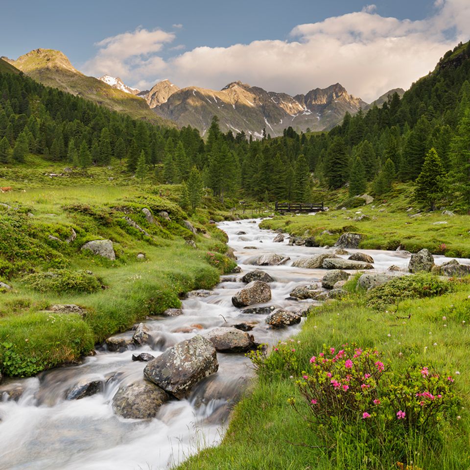 Debanttal, Nationalpark Hohe Tauern, Österreich