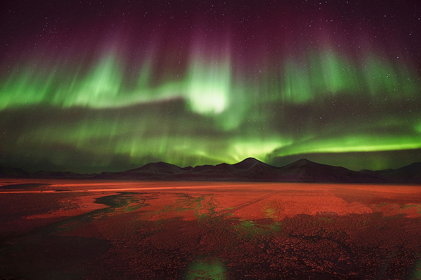 Insight Astronomy Photographer of the Year