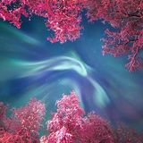 Beeindruckende Fotos: Die spektakulärsten Astro-Bilder des Jahres - Bild 4