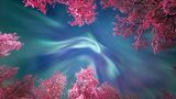 Beeindruckende Fotos: Die spektakulärsten Astro-Bilder des Jahres - Bild 4