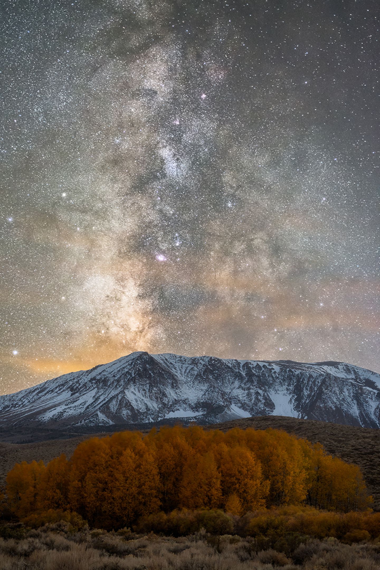 Insight Astronomy Photographer of the Year