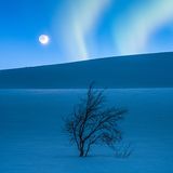 Insight Astronomy Photographer of the Year