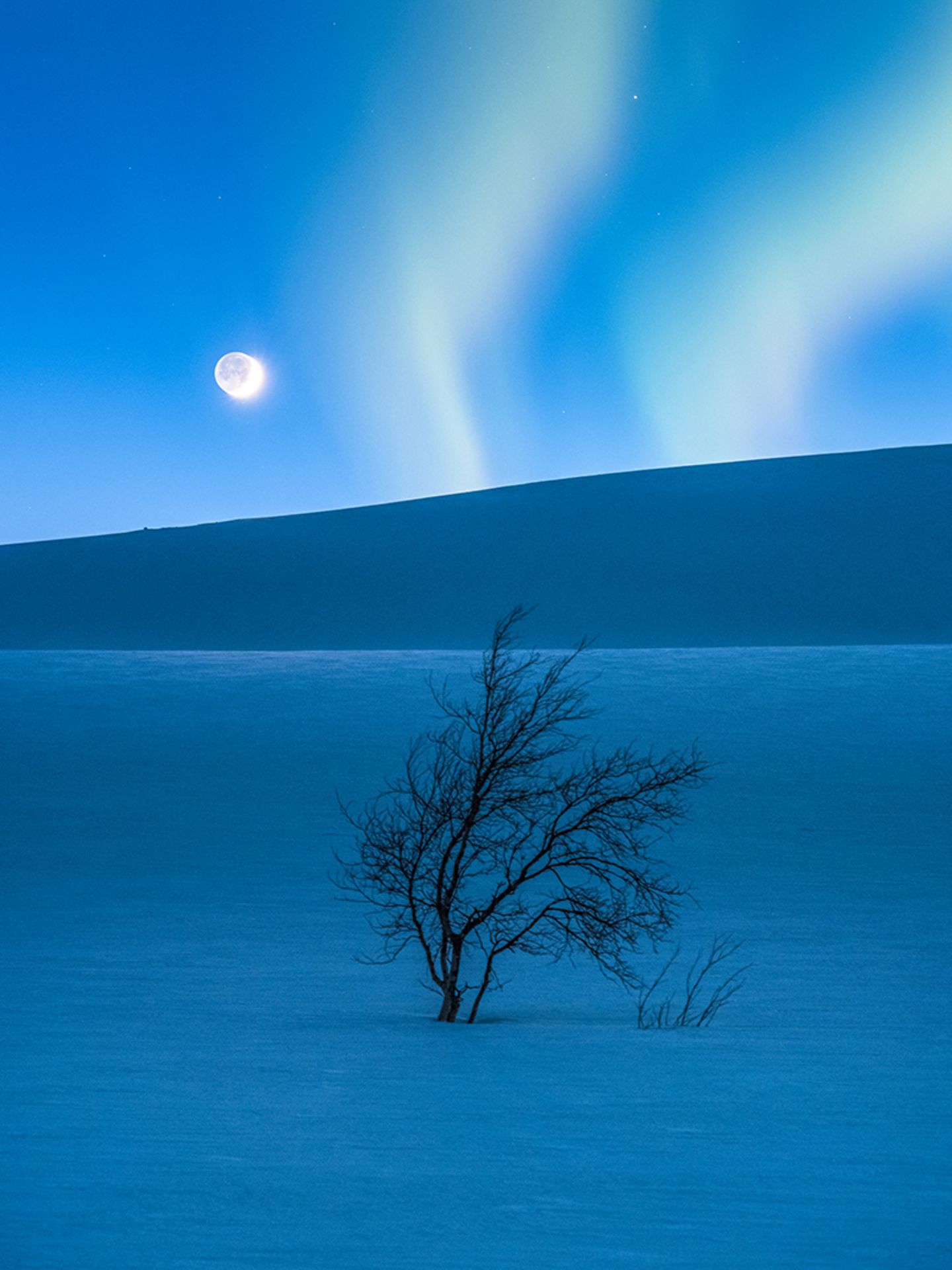Insight Astronomy Photographer of the Year