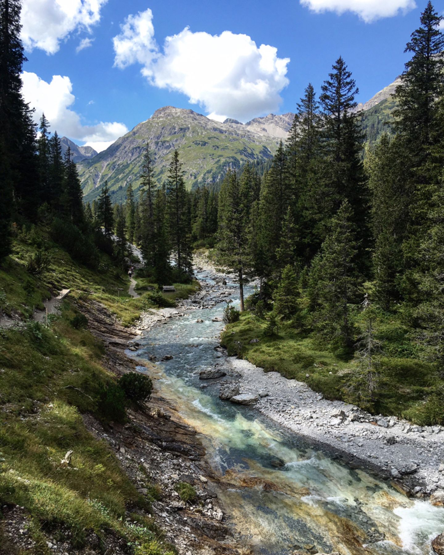 Junger Lech in Österreich