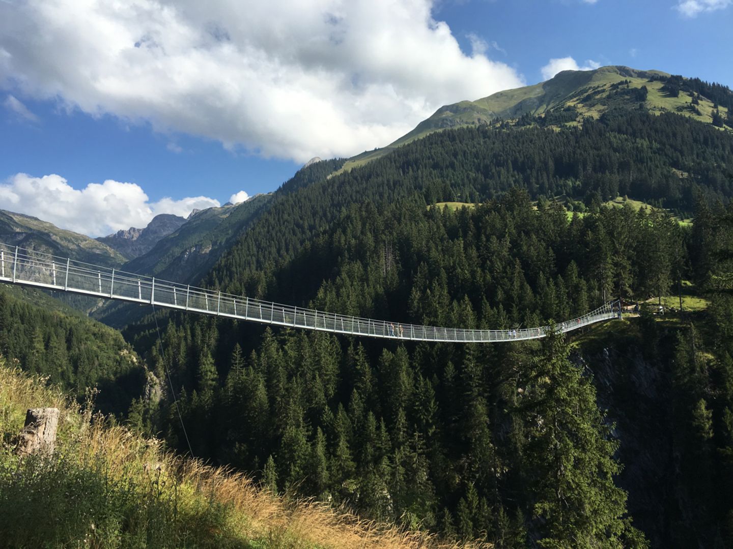 Hängebrücke am Höhenbachtal
