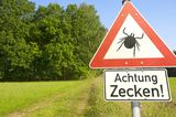 Zecken