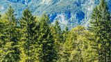 Bohinj
