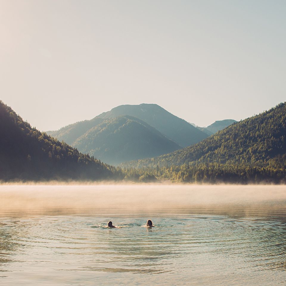 Plansee