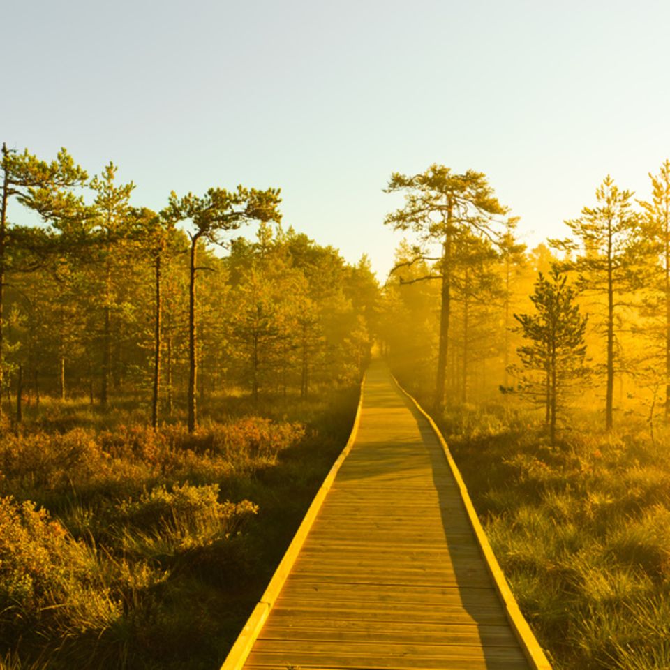 Estland