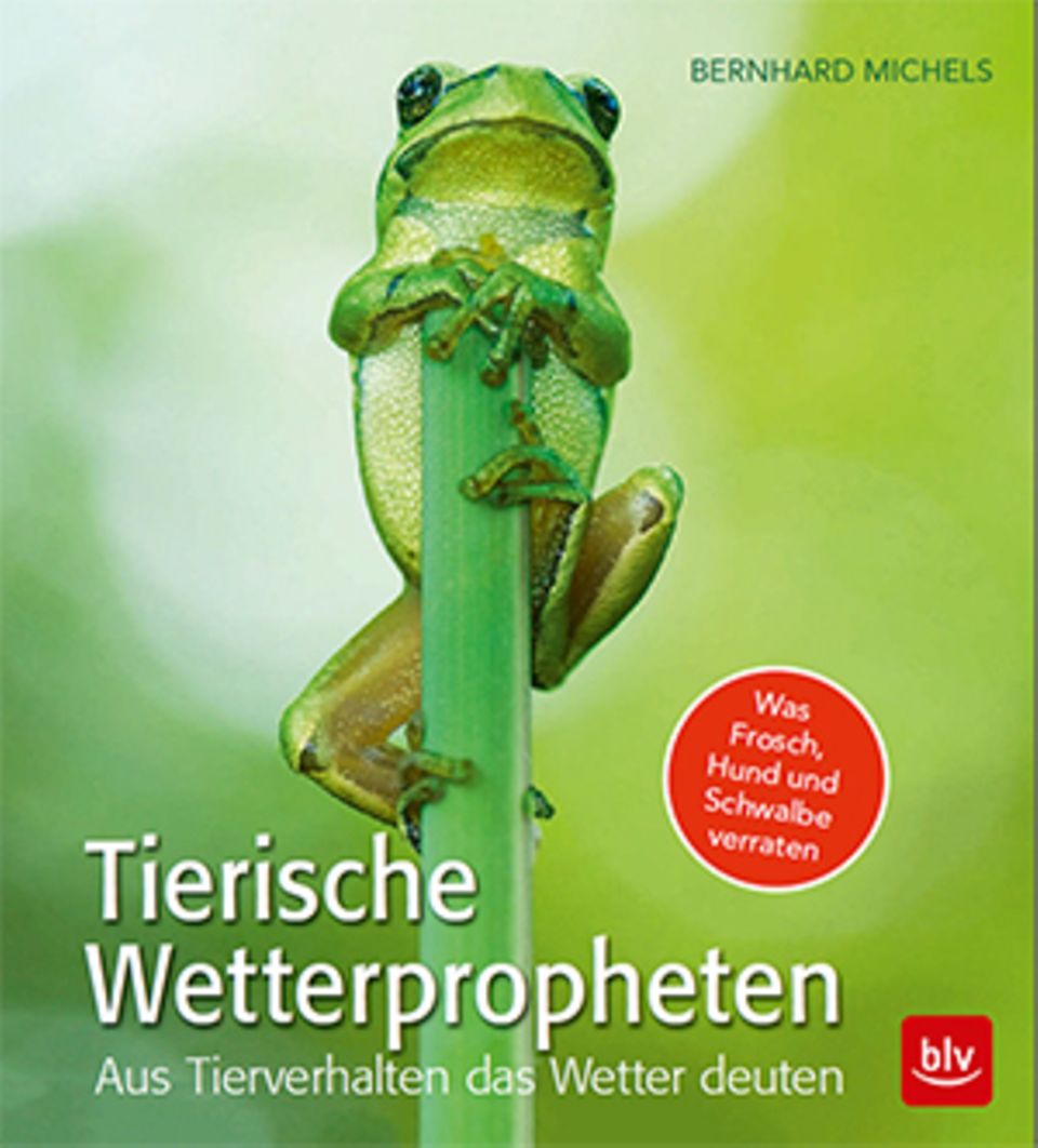 Cover des Buchs "Tierische Wetterproheten"