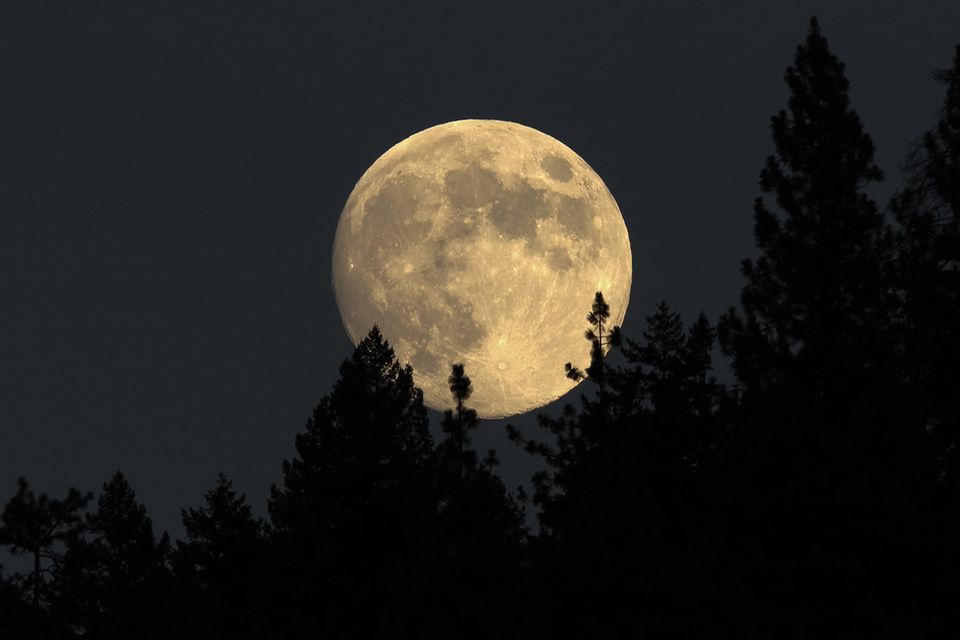 Warum Kann Man Bei Vollmond Nicht Gut Schlafen www.geo.de