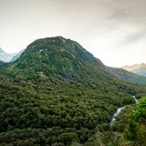 Milford Road