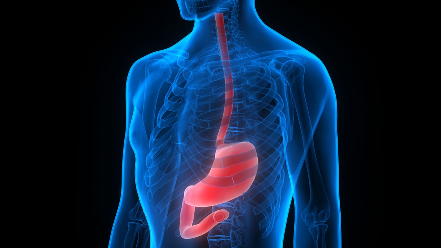 Illustration vom Magen im Körper