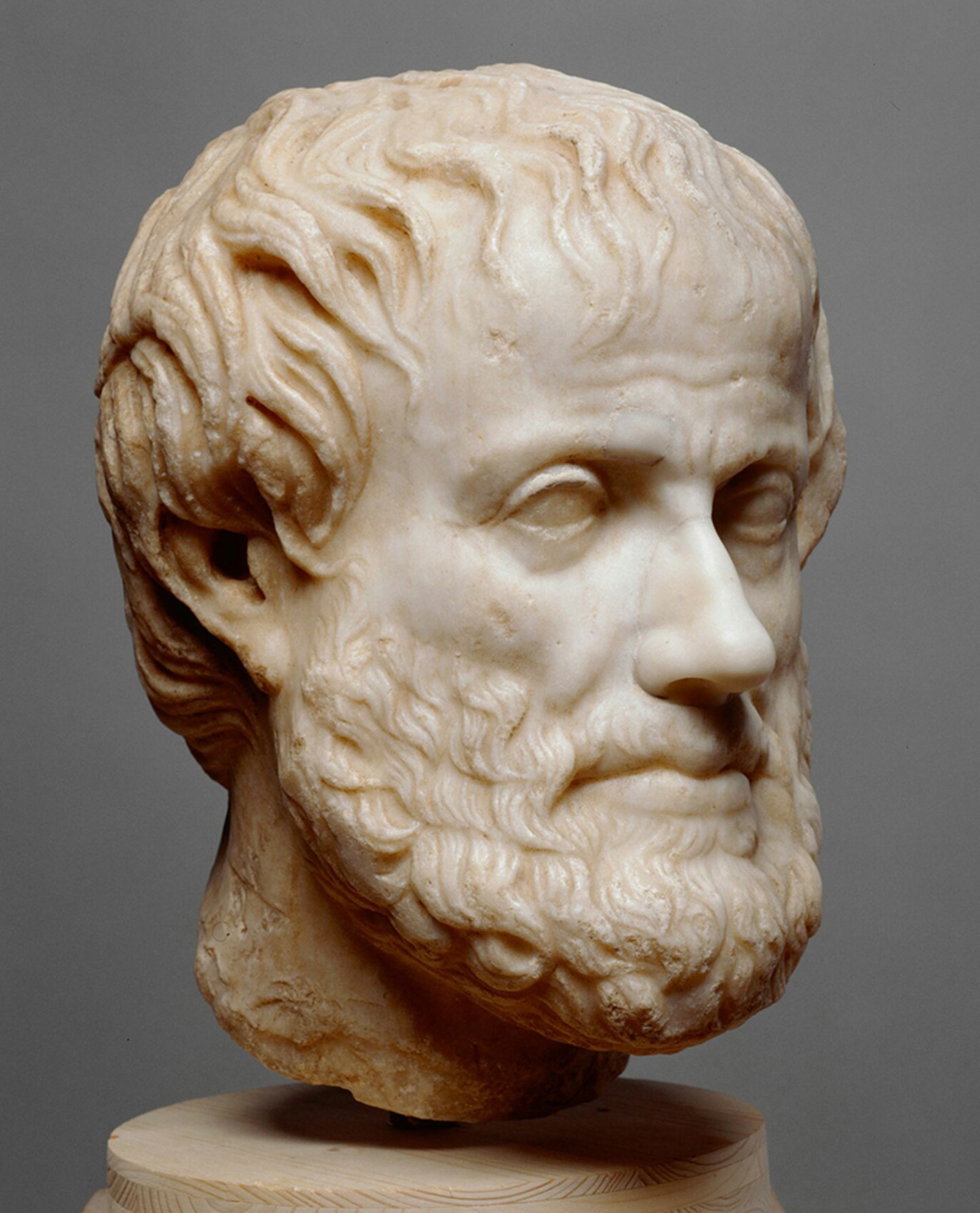 Аристотель стагирит