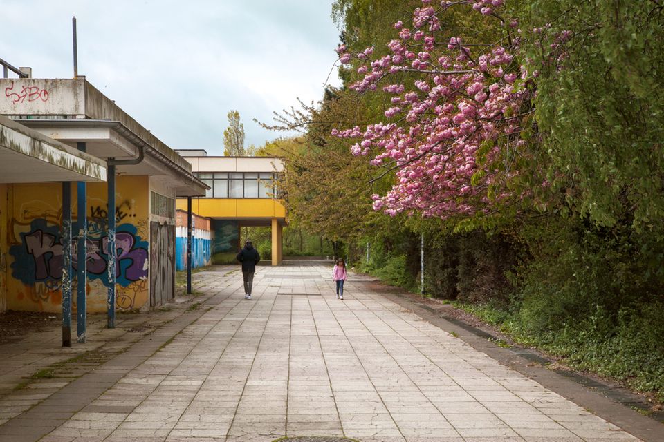 RostockLichtenhagen "Ich wollte mehr sehen als das brennende Haus