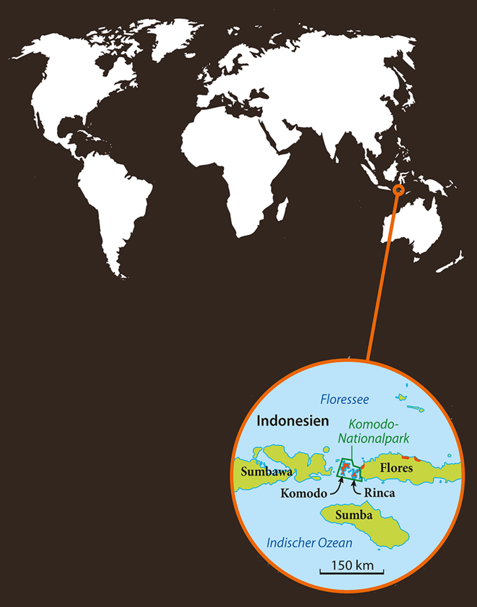 Verbreitungsgebiet der Komodowarane