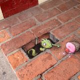 Davin Zinn Chalk Art