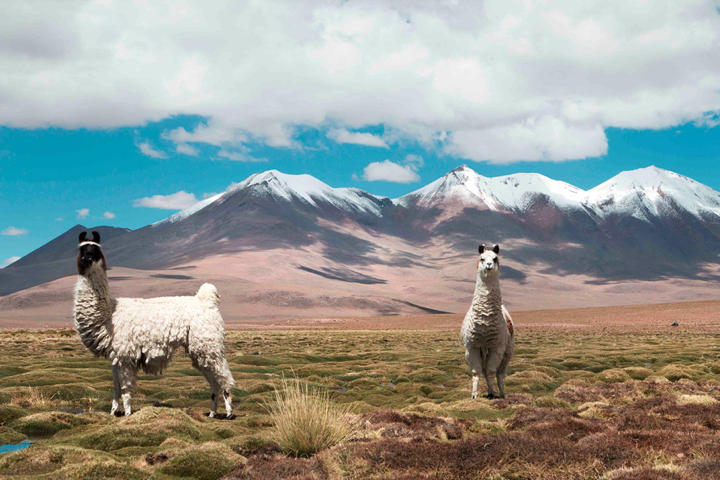 Bolivien