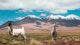 Bolivien