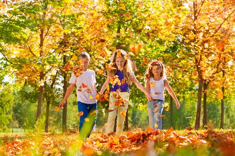 Kinder im Herbst