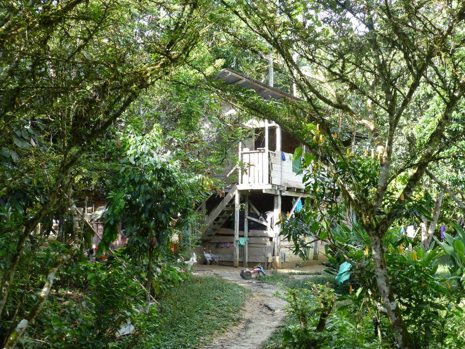 Ecuador: Die Kichwa-Familien aus der Napo-Region leben am und im Regenwald, weitgehend in Einklang mit der Natur Ecuador: Die Kichwa-Familien aus der Napo-Region leben am und im Regenwald, weitgehend in Einklang mit der Natur