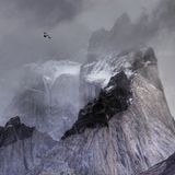 Ben  Hall/BPOTY 2017