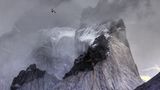 Ben  Hall/BPOTY 2017