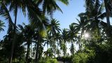 Mindoro, Philippinen