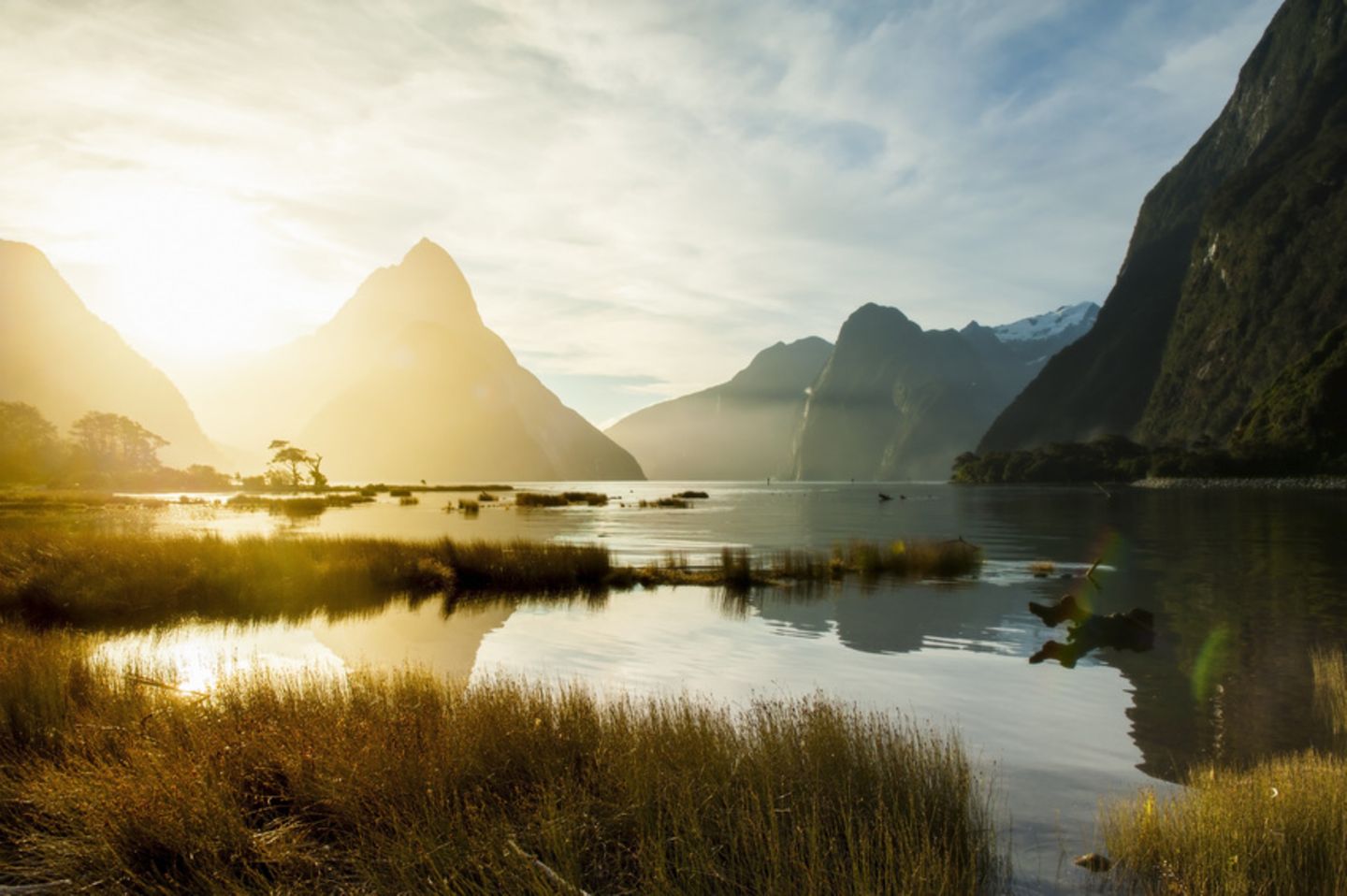Platz 6: Neuseeland Neuseeland
