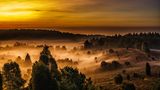 Totengrund, Lüneburger Heide