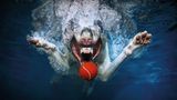 Seth Casteel, Hunde unter Wasser