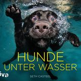 Seth Casteel, Hunde unter Wasser