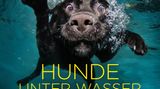 Seth Casteel, Hunde unter Wasser
