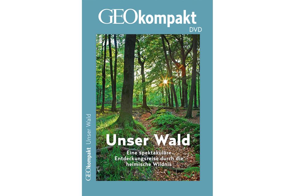 GEOkompakt DVD Wald