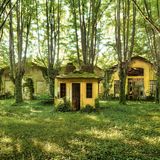 Sven Fennema, Neuland