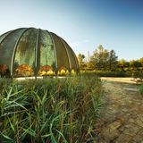 Sven Fennema, Neuland