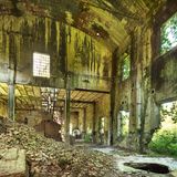 Sven Fennema, Neuland