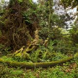 Sven Fennema, Neuland