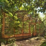 Sven Fennema, Neuland