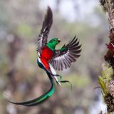 Tyohar Kastiel, Finalist Wildlife Photographer of the Year.