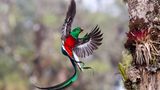 Tyohar Kastiel, Finalist Wildlife Photographer of the Year.