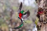Tyohar Kastiel, Finalist Wildlife Photographer of the Year.