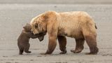 Ashleigh Scully, Finalist Wildlife Photographer of the Year