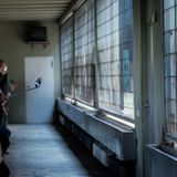 Jo-Anne McArthur, Captive