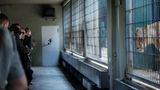 Jo-Anne McArthur, Captive