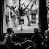 Jo-Anne McArthur, Captive